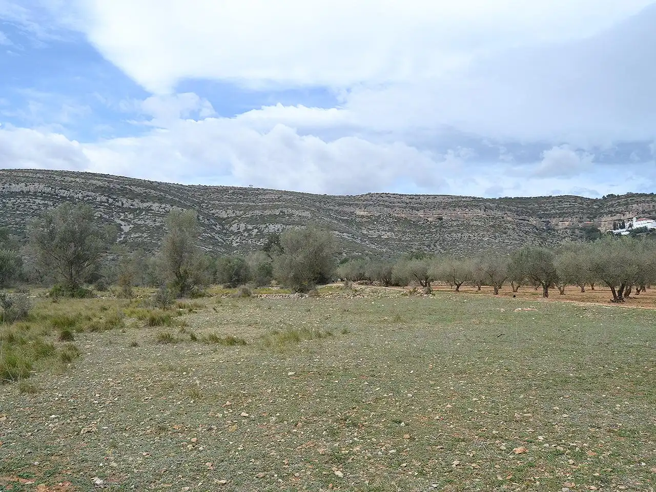 Terreny rústic en venda a Pont Godall/Dressera/Ermita, imagen 15