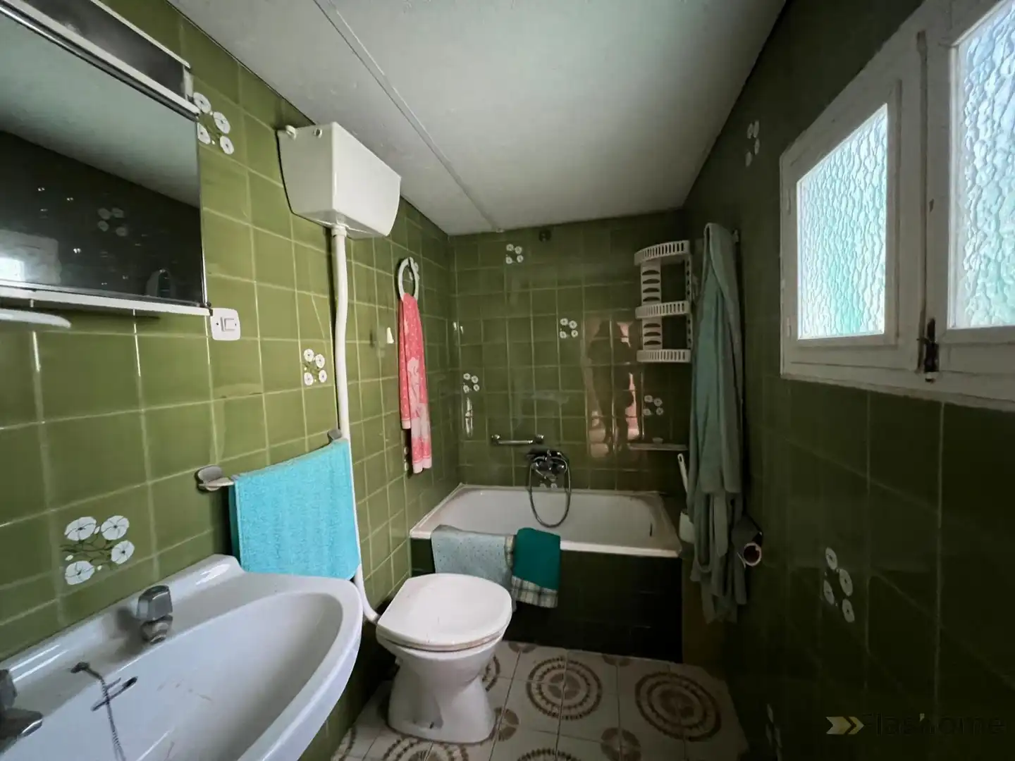 Casa en venta en Santa Amalia, imagen 4