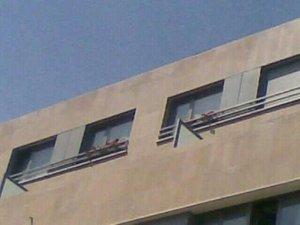 Foto 2 de Piso de alquiler en Avenida Sabino Arana Etorbidea, Centro Urbano - Hirigunea, Leioa