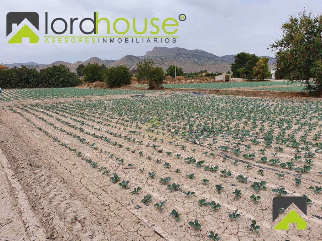 Residencial en venda en Lorca