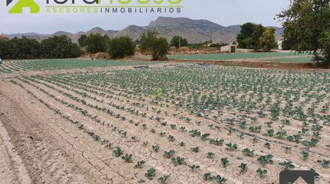 PA971. Parcela cmno. viejo del Puerto
