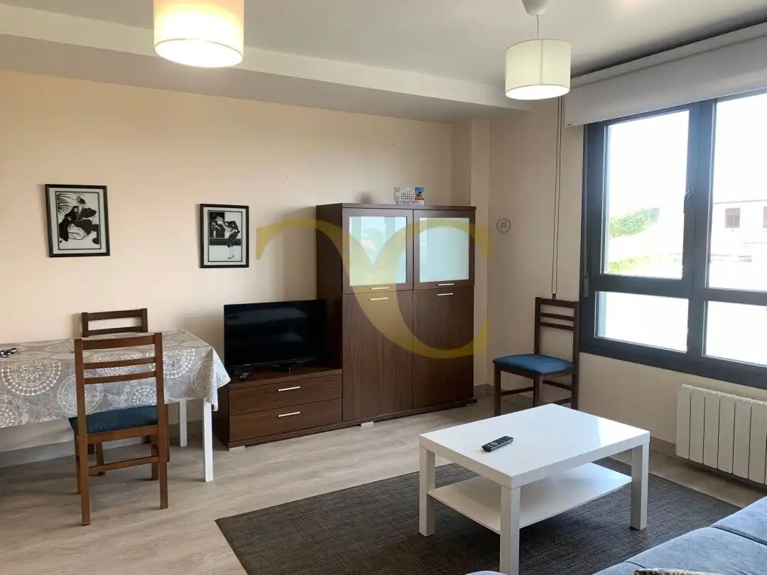Living room of Apartments for sale in Llanes  with Heating, Storage room and Furnished