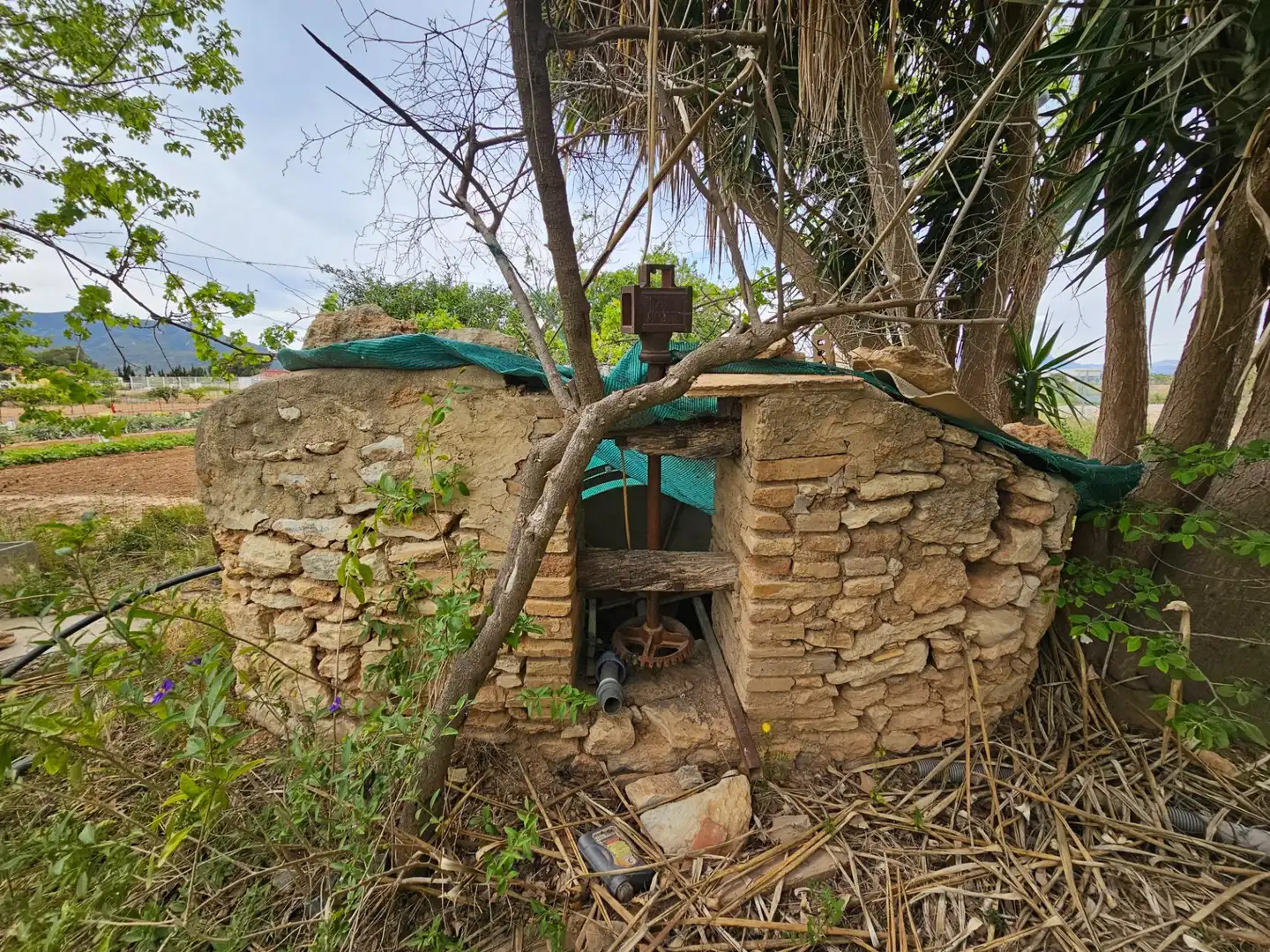 Landhaus zum Verkauf in Eucaliptus- Poble Nou del Delta, imagen 37