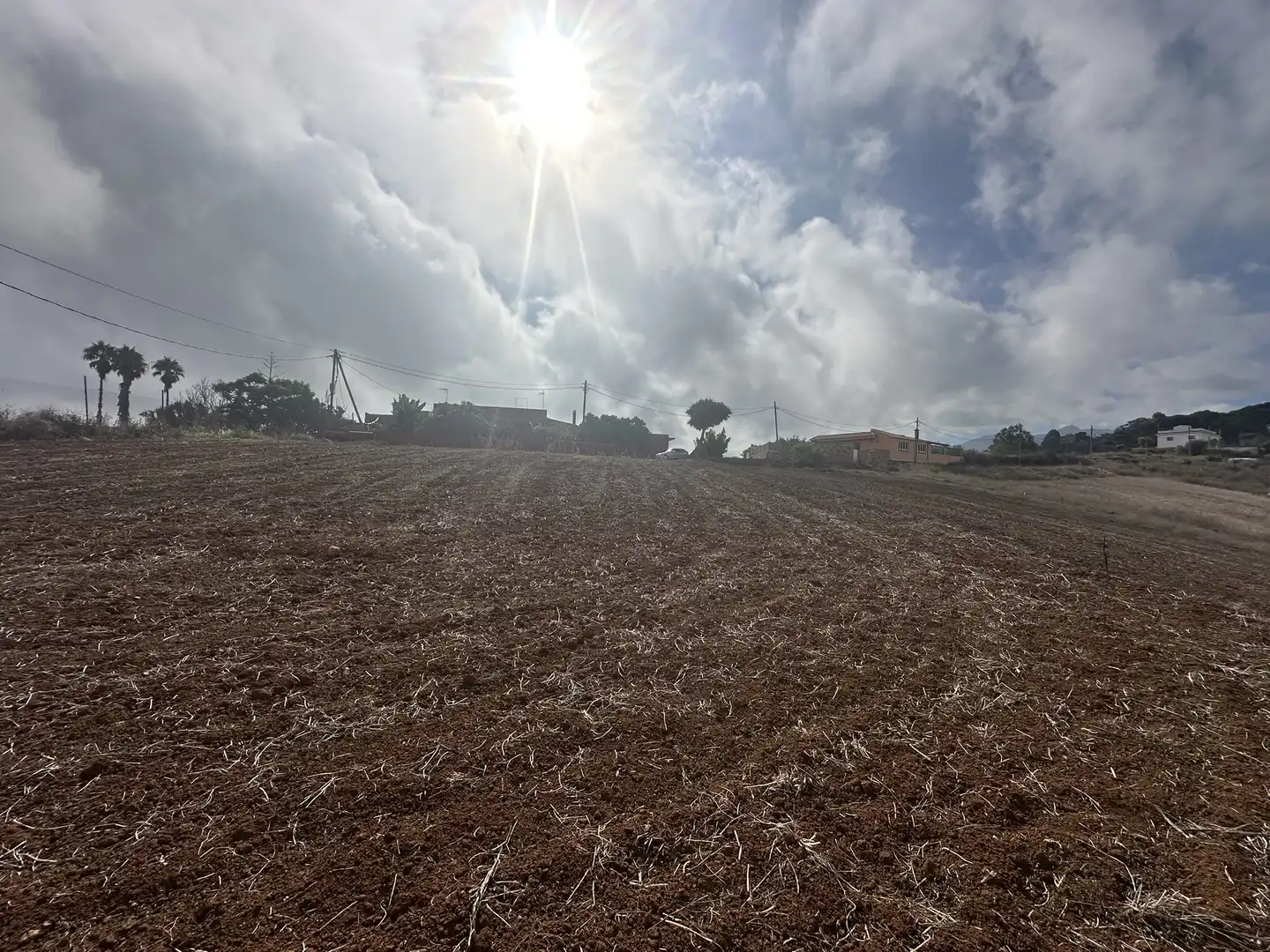 Finca rústica en venta en Santa María de Guía de Gran Canaria