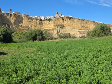 Terreno rustico in vendita a Arcos de la Frontera