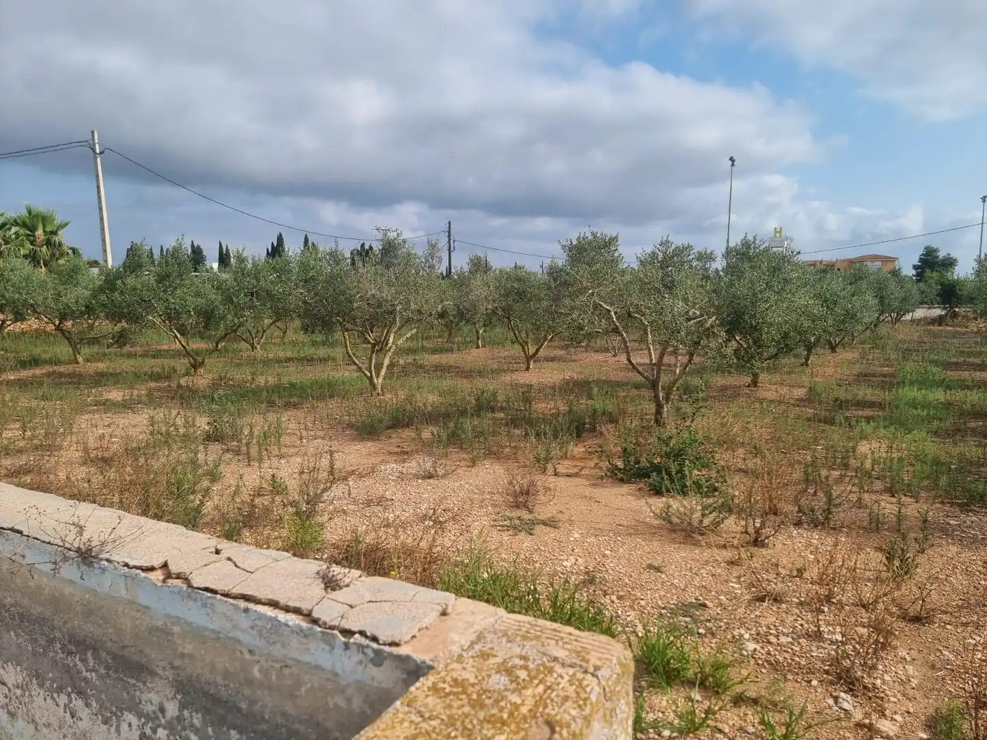Terreno rústico en venta en Polígono 53 Paraje 73 MAS D´EN CARRASCA, imagen 30