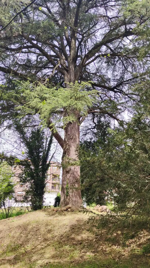 Garten von Gebäude zum Verkauf in Bedia