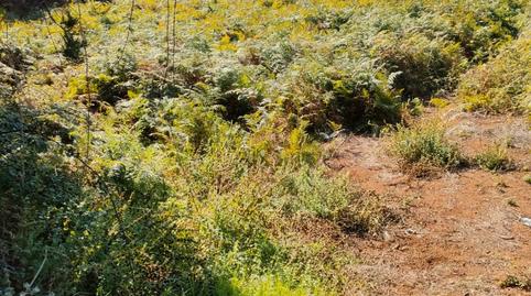 Photo 4 of Land for sale in Calle Juan Fernández, 254, Valle de Guerra, San Cristóbal de la Laguna