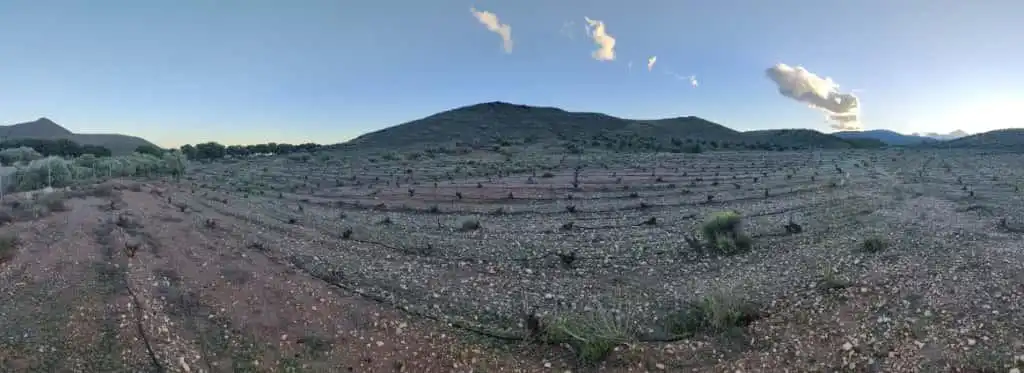 Terreno rustico in vendita a Alboloduy 5, imagen 9