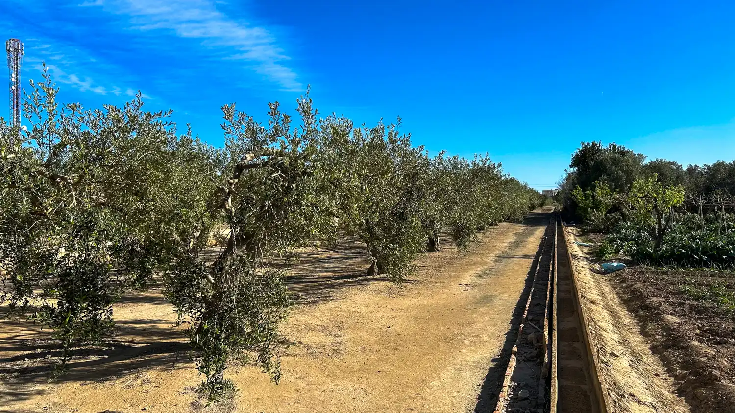 Terreny rústic en venda a Sant Jaume d'Enveja, imagen 4
