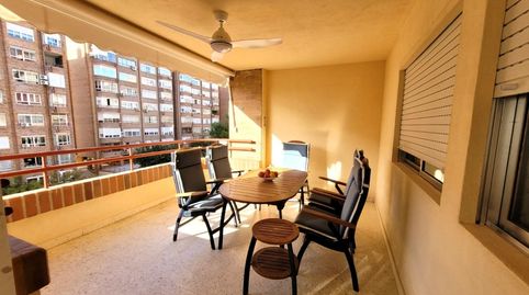 Foto 5 de Pis de lloguer a Calle Calle de Victoria Kent Siano, Palmeral, Alicante / Alacant