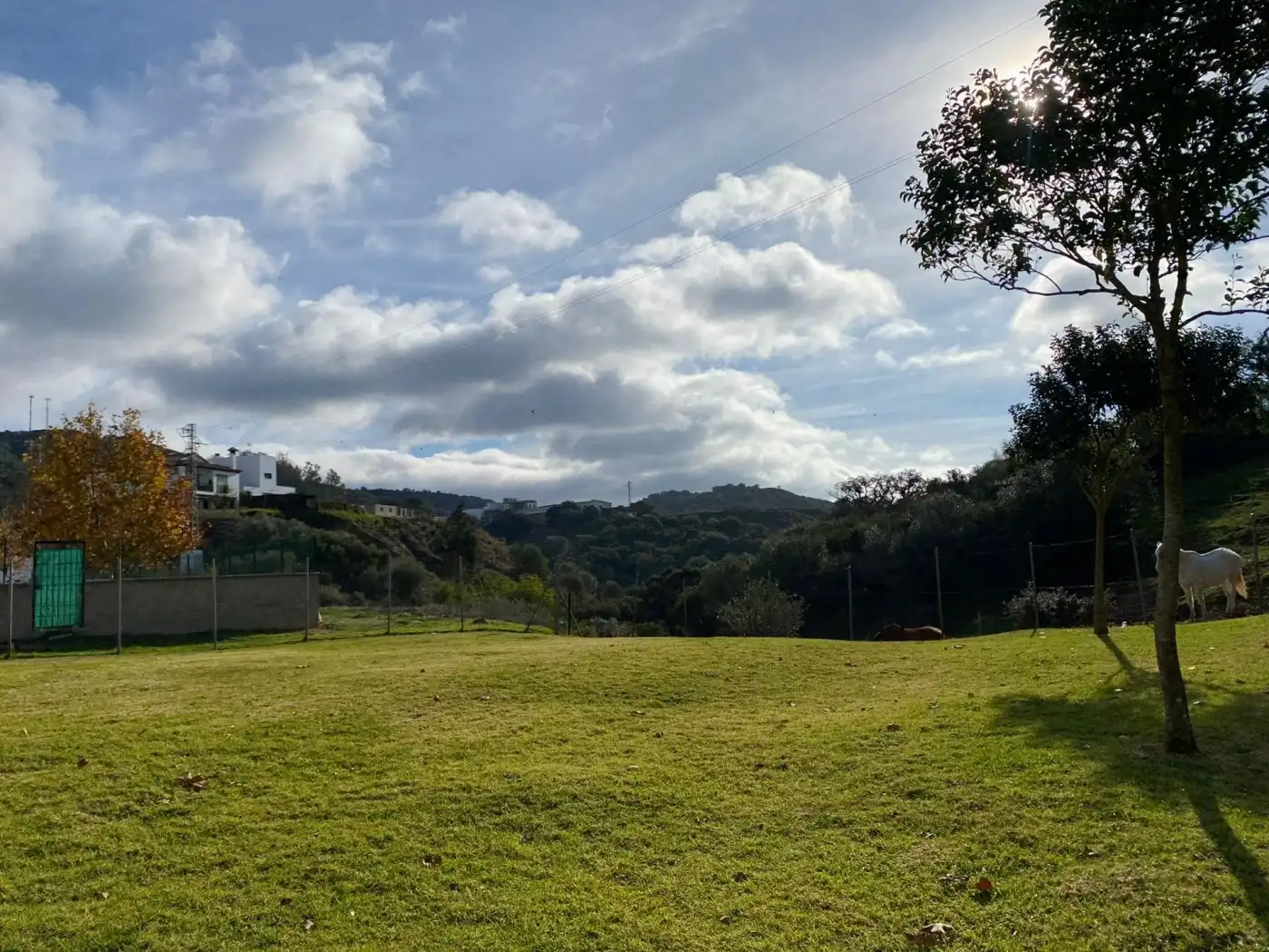 Casa con piscina en venta en Alcalá de los Gazules, imagen 14