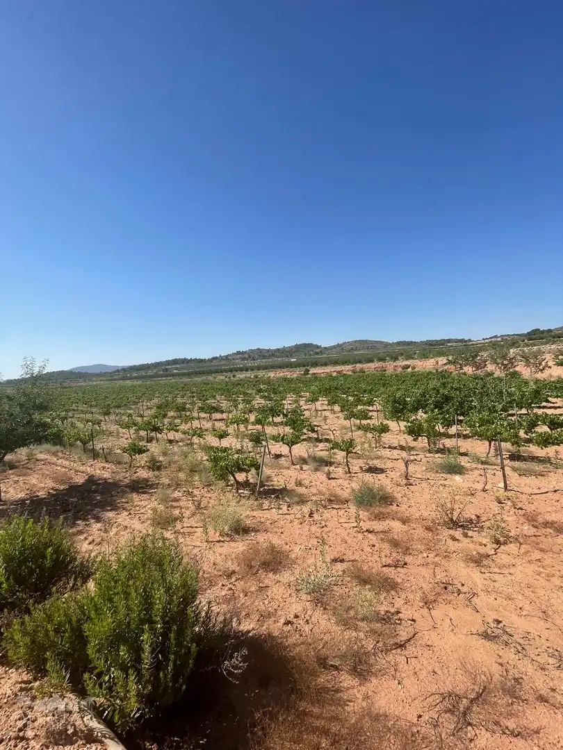 Terreno residencial en venta en El Pinós / Pinoso, imagen 9