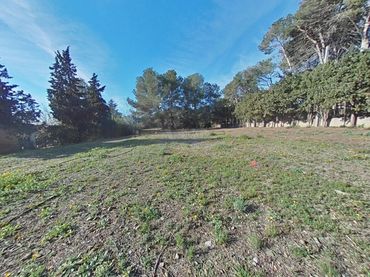 Terreny residencial en venda a Almoster