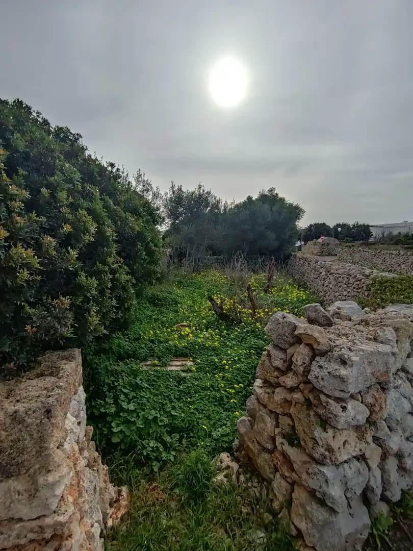 Rustikales Grundstück zum Verkauf in Sant Lluís - S'Ullestrar - Torret, imagen 6