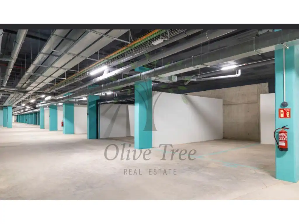 Apartamento con piscina en alquiler en Avenida Pedro Matutes Noguera, imagen 8