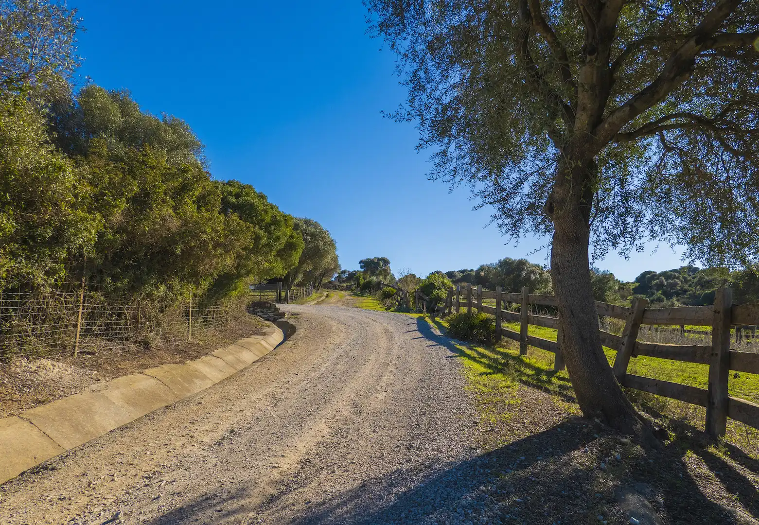 Vista exterior de Finca rústica en venda en San Martín del Tesorillo amb Aire condicionat, Jardí privat i Terrassa