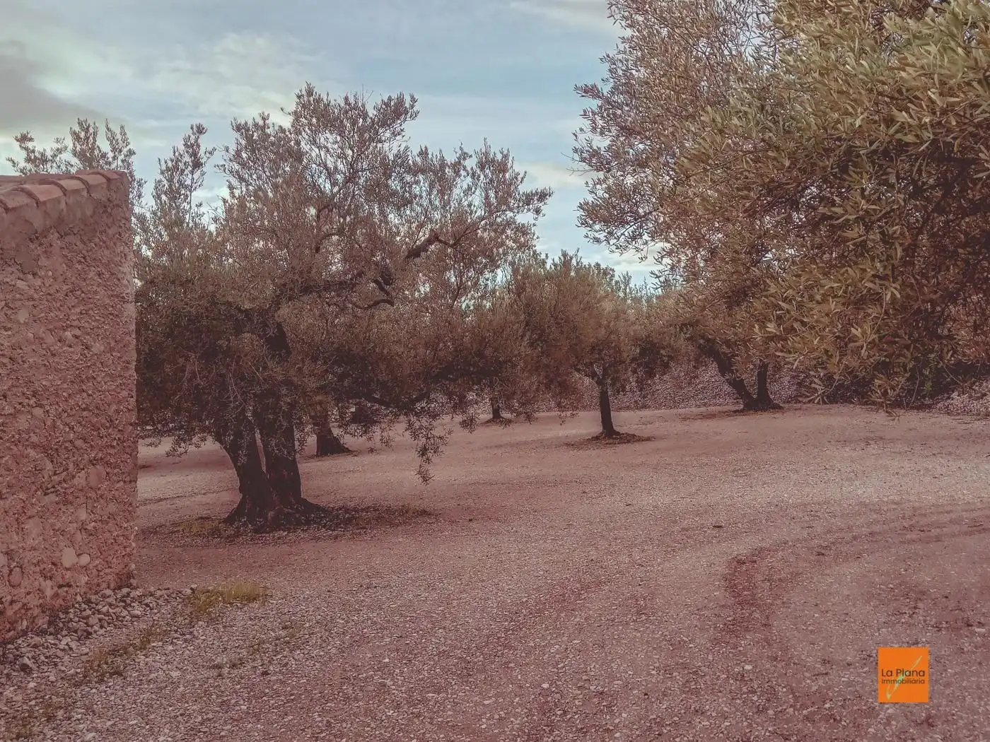 Finca rústica en venta en Santa Bàrbara