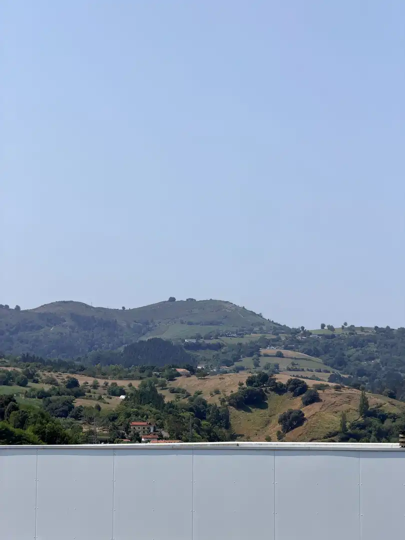 Appartamento con ascensore in vendita a INDAMENDI KALEA, imagen 25