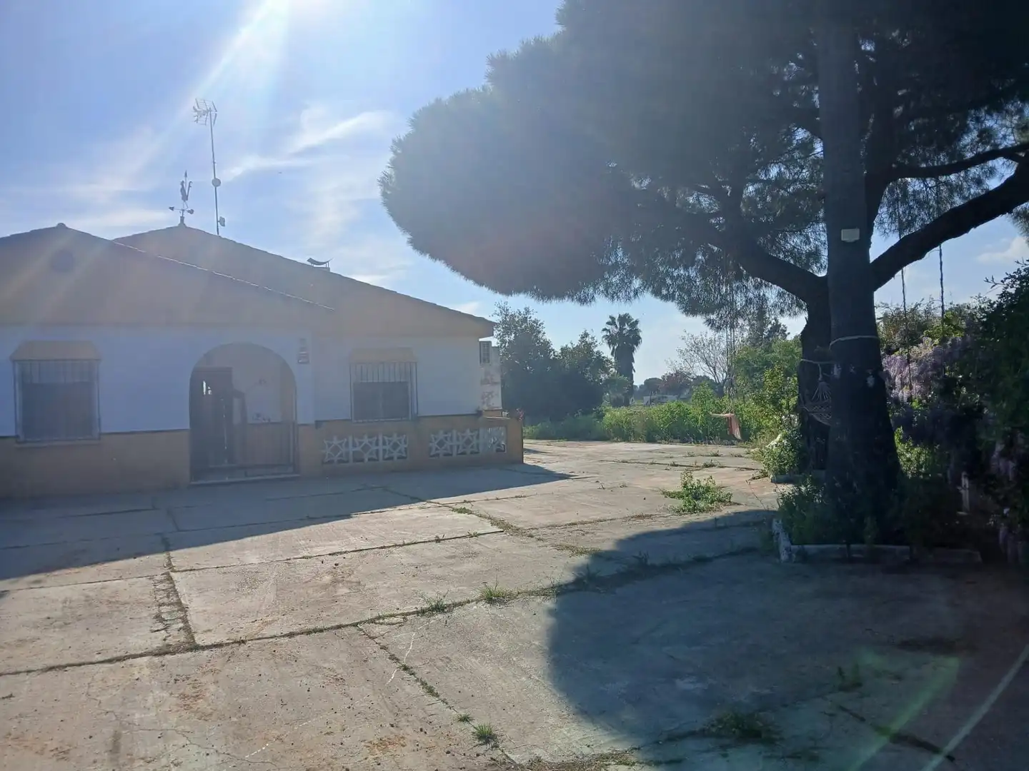 Chalet con piscina en venta en Gibraleón