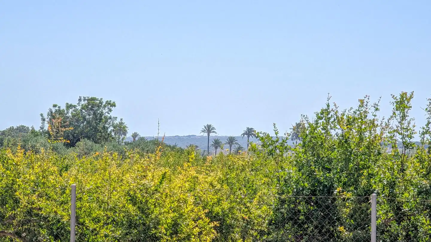 Casa o xalet en venda en Elche / Elx amb Aire condicionat, Jardí privat i Terrassa