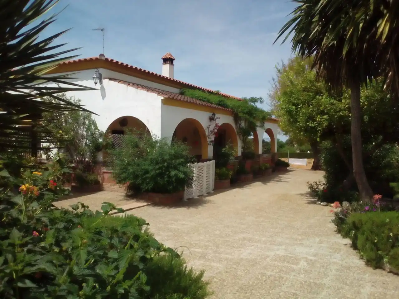 Jardín de Casa o chalet en venta en Carmona con Jardín privado, Terraza y Piscina