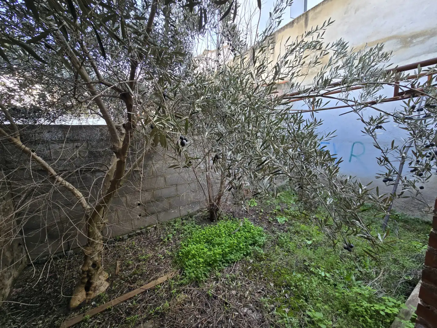 Haus zum Verkauf in Calle Doctor Antonio Cabrera, imagen 12