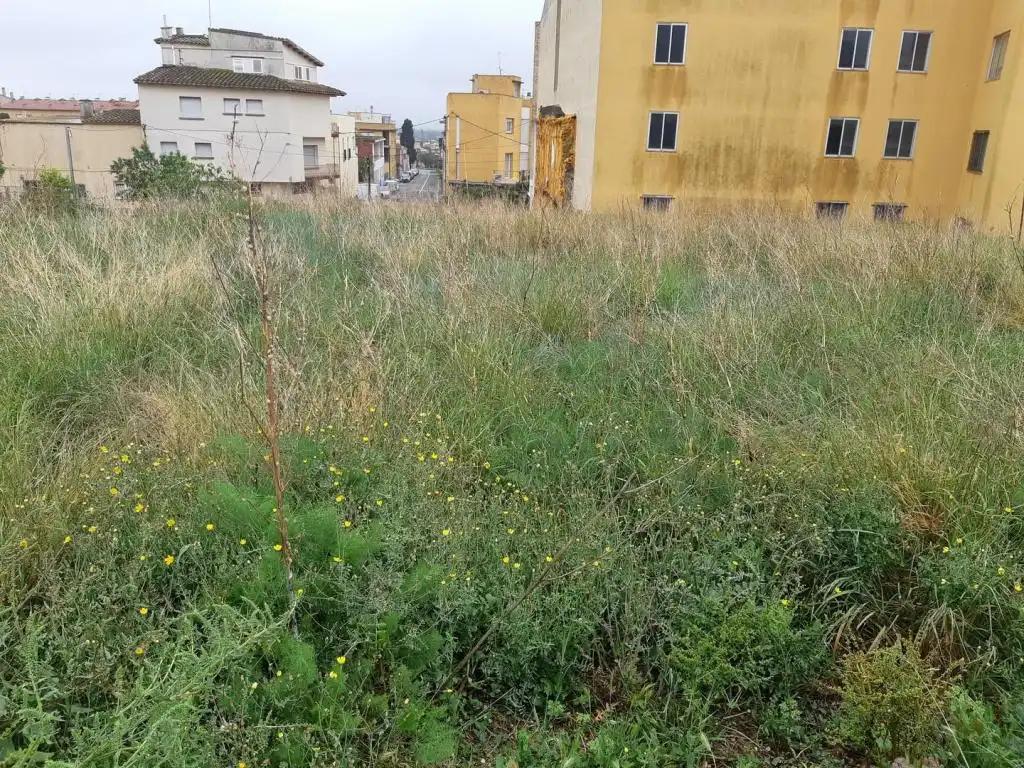 Terreny rústic en venda a C/ Santa Margarida, imagen 10
