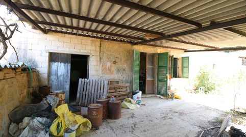 Photo 3 of Country homes for sale in Petra, Illes Balears