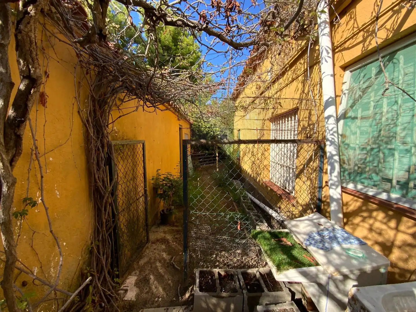 Finca rústica en venda a Canafort - El Puntó