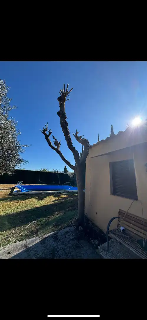 Jardí de Residencial en venda en Antequera