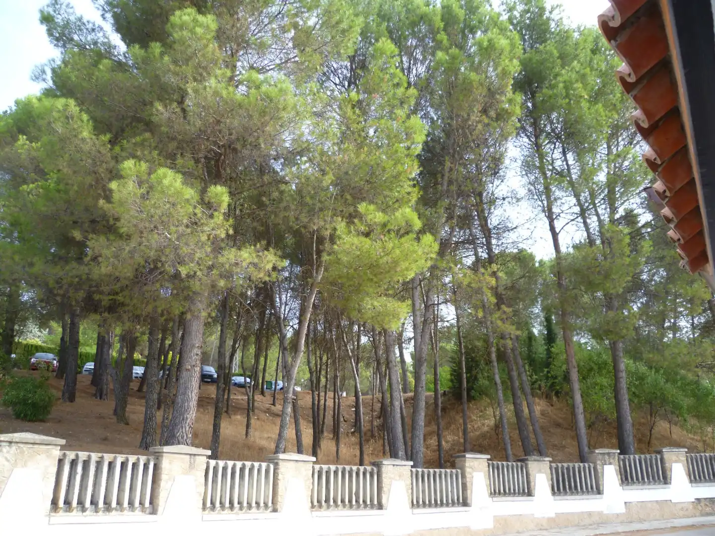Houses for sale in Siles  with Air Conditioner, Terrace and Furnished