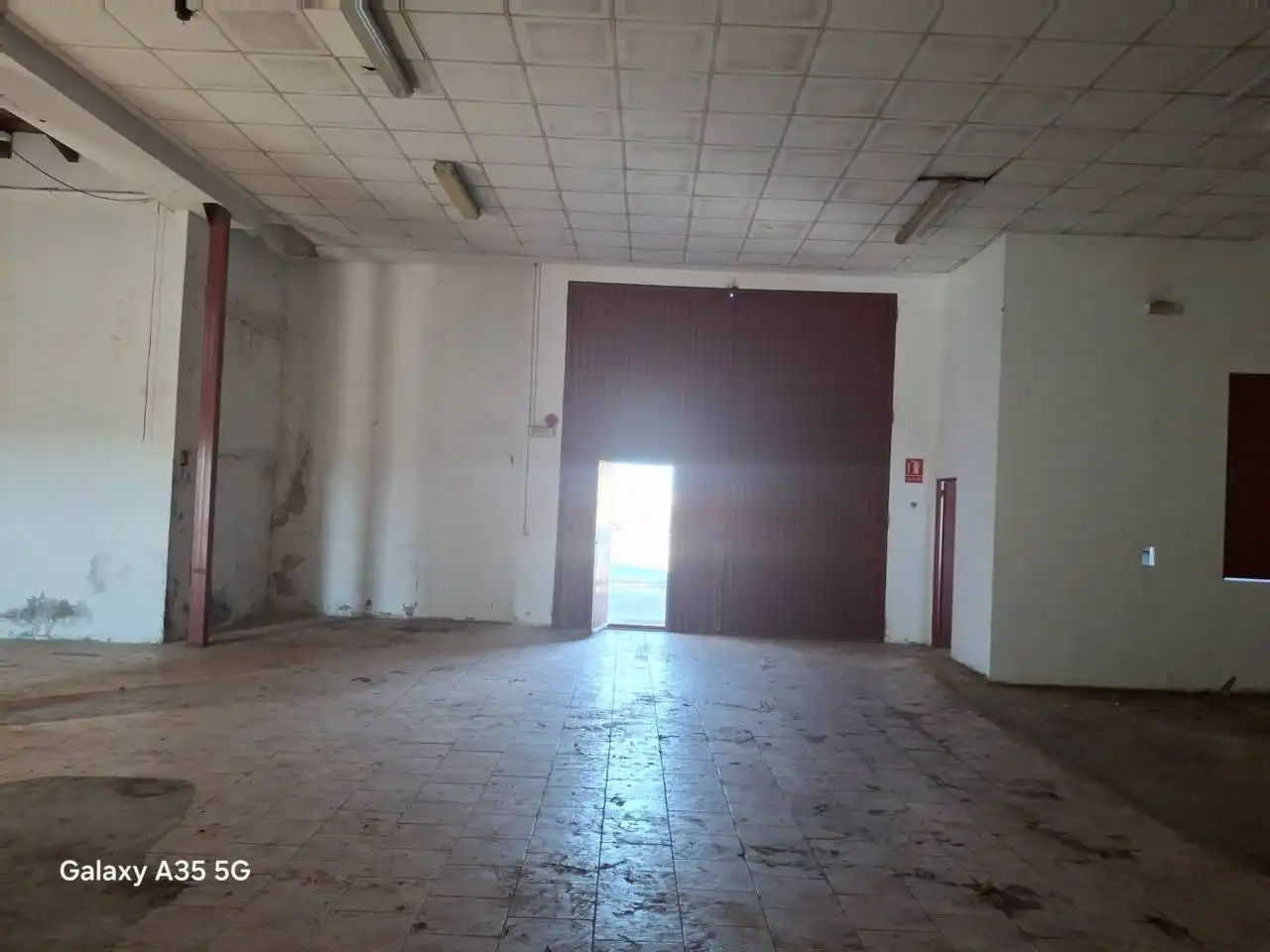 Industrial buildings for rent in Almàssera