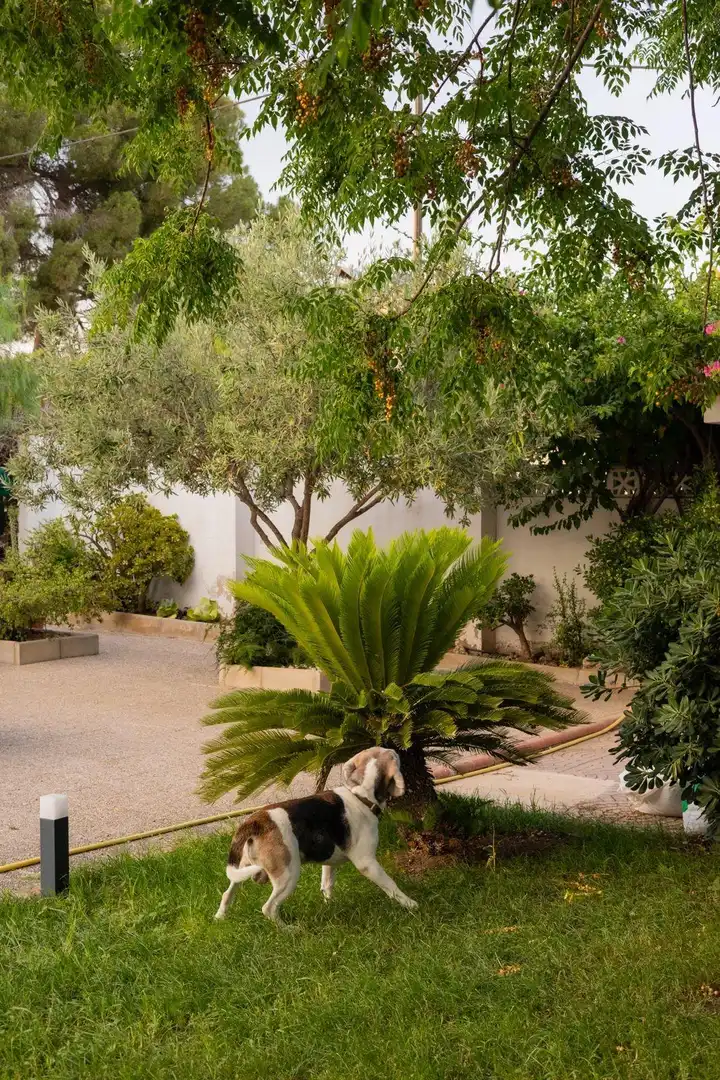 Houses for sale in Urbanizaciones