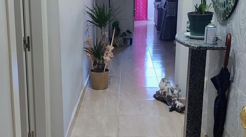 Foto 3 de Piso en venta en Purchena, Almería