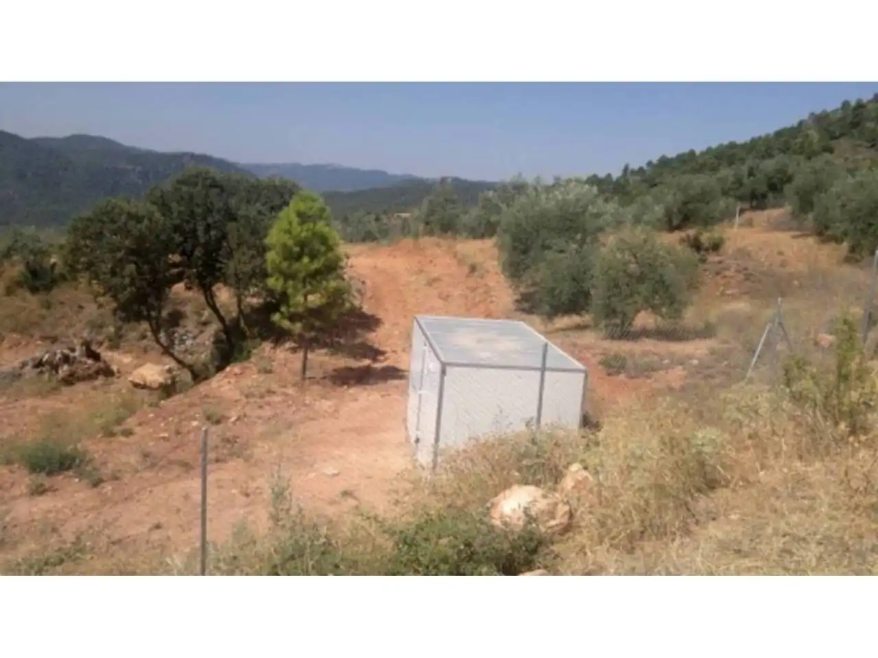 Terreno rustico in vendita a Bogarra, imagen 2