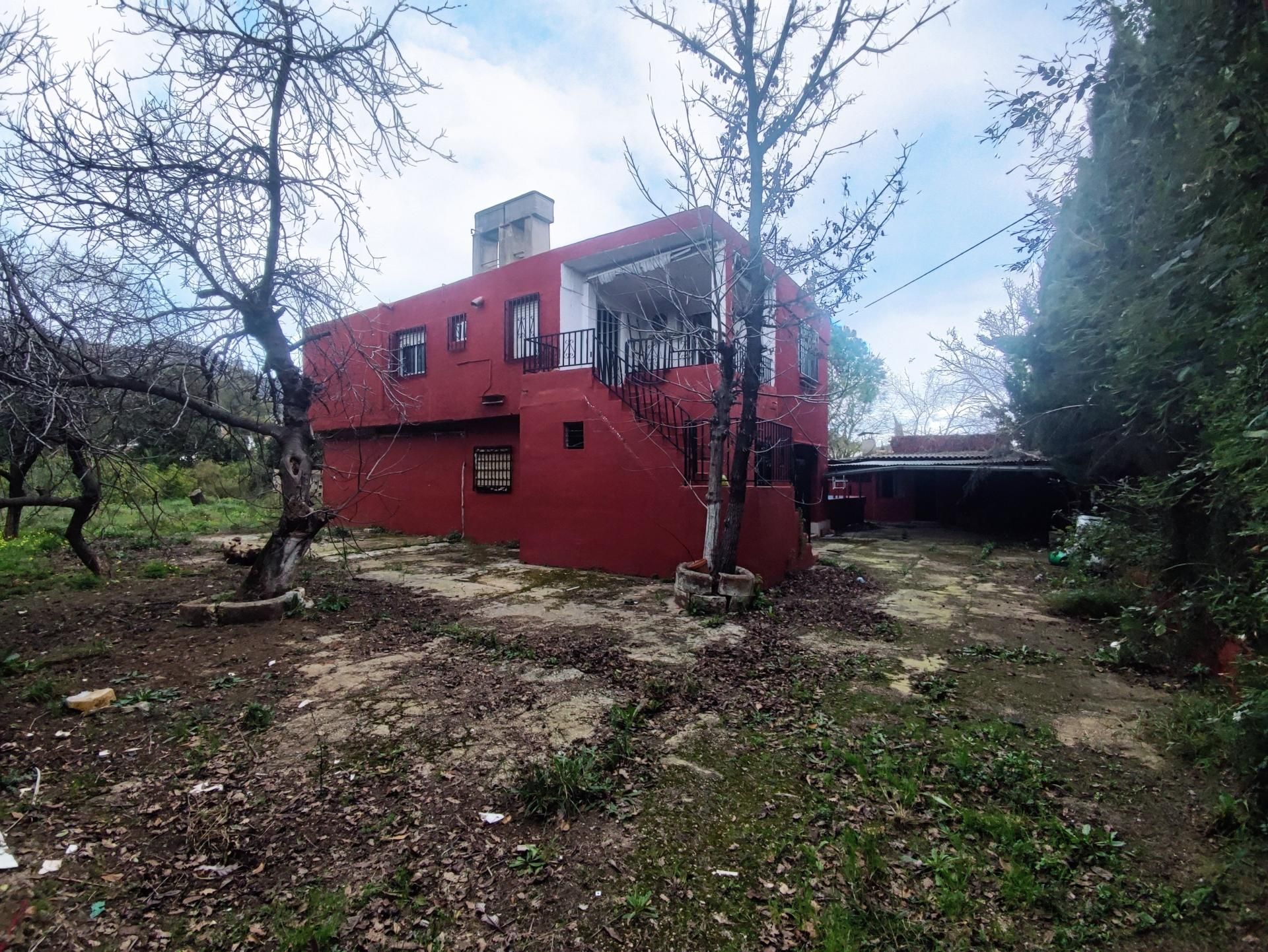 Vista exterior de Finca rústica en venda en Alzira amb Terrassa i Piscina