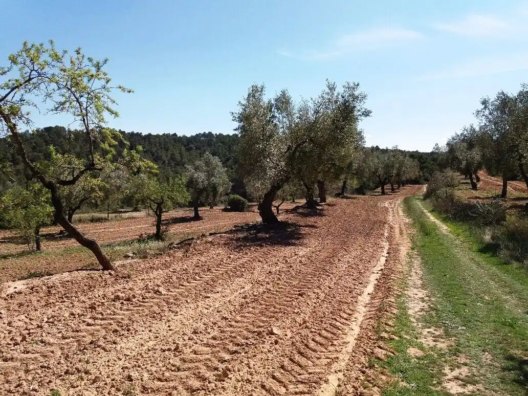 Terreni e lotti in vendita a Cretas, imagen 5