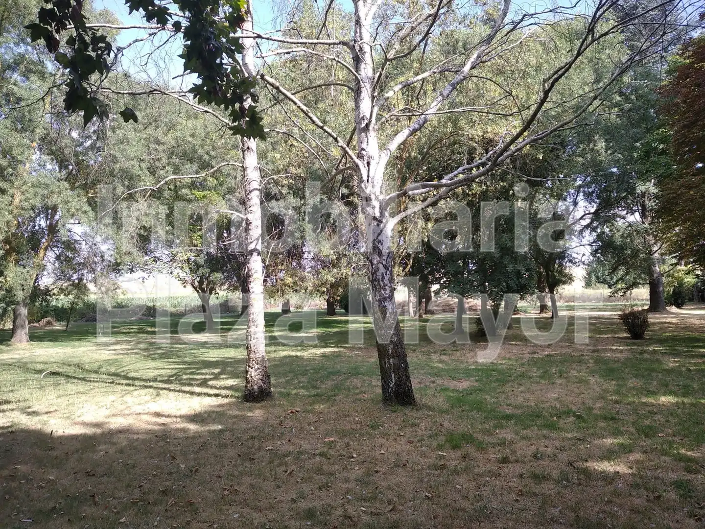 Rural land for sale in Villamayor, imagen 2
