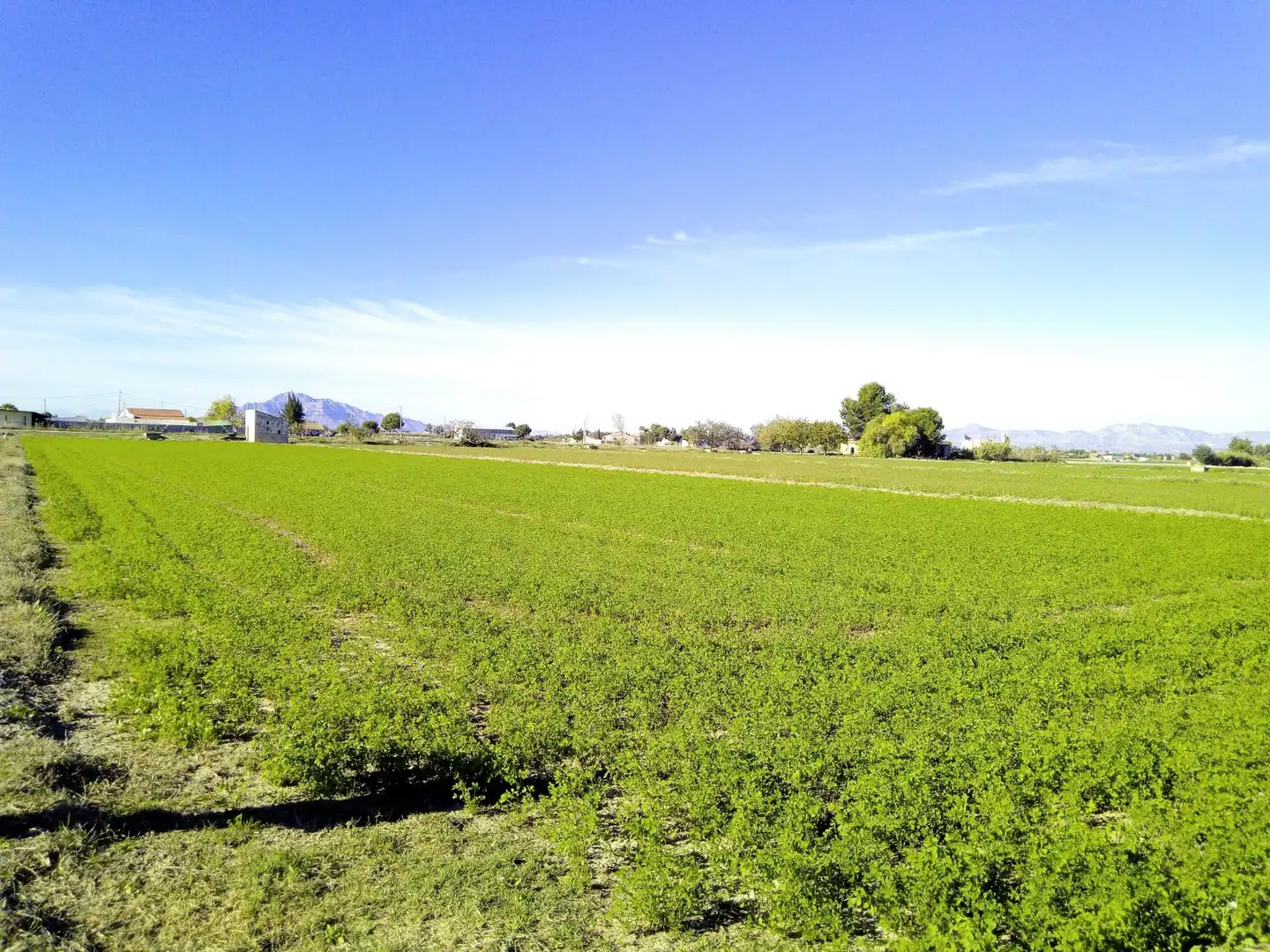 Residencial en venda en Dolores