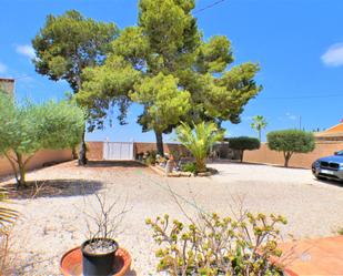 Jardí de Casa o xalet en venda en  Murcia Capital amb Jardí privat, Piscina i Moblat