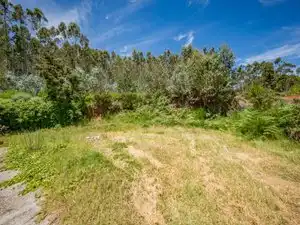 Casa o xalet en venda en El Rosario amb Jardí privat, Terrassa i Traster