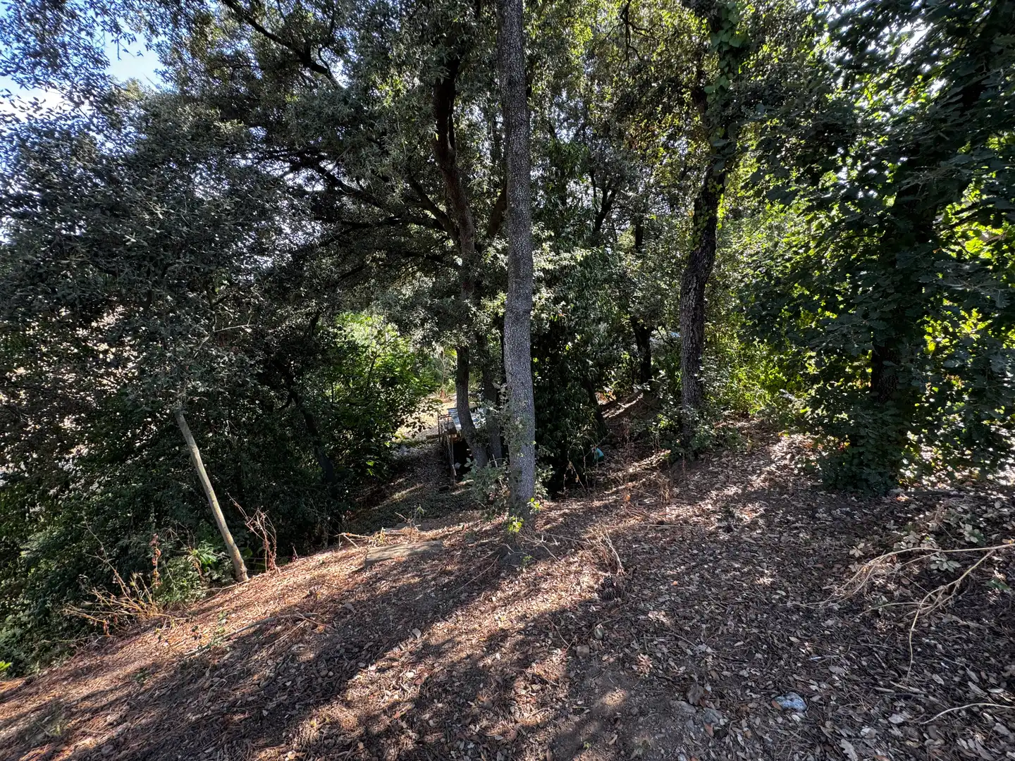 Residential zum Verkauf in Sant Pere de Vilamajor