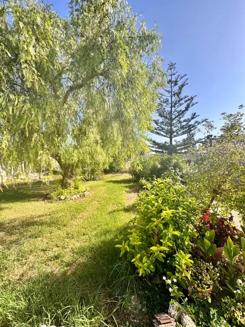 Garten von Haus oder Chalet zum Verkauf in Chiclana de la Frontera
