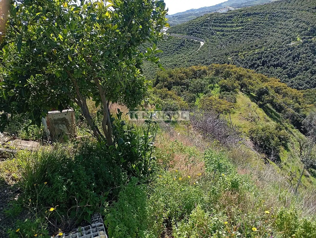 Grundstücke und Bauplätze zum Verkauf in Vélez-Málaga ciudad, imagen 8