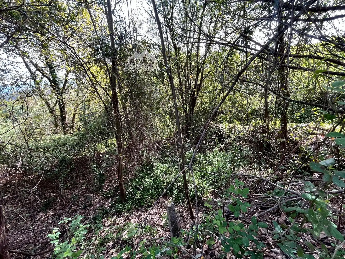 Xalet en venda a Arbo, imagen 9