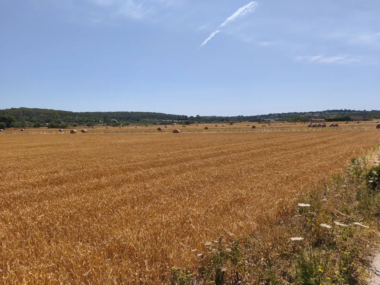Terreno rustico in vendita a Montuïri, imagen 5