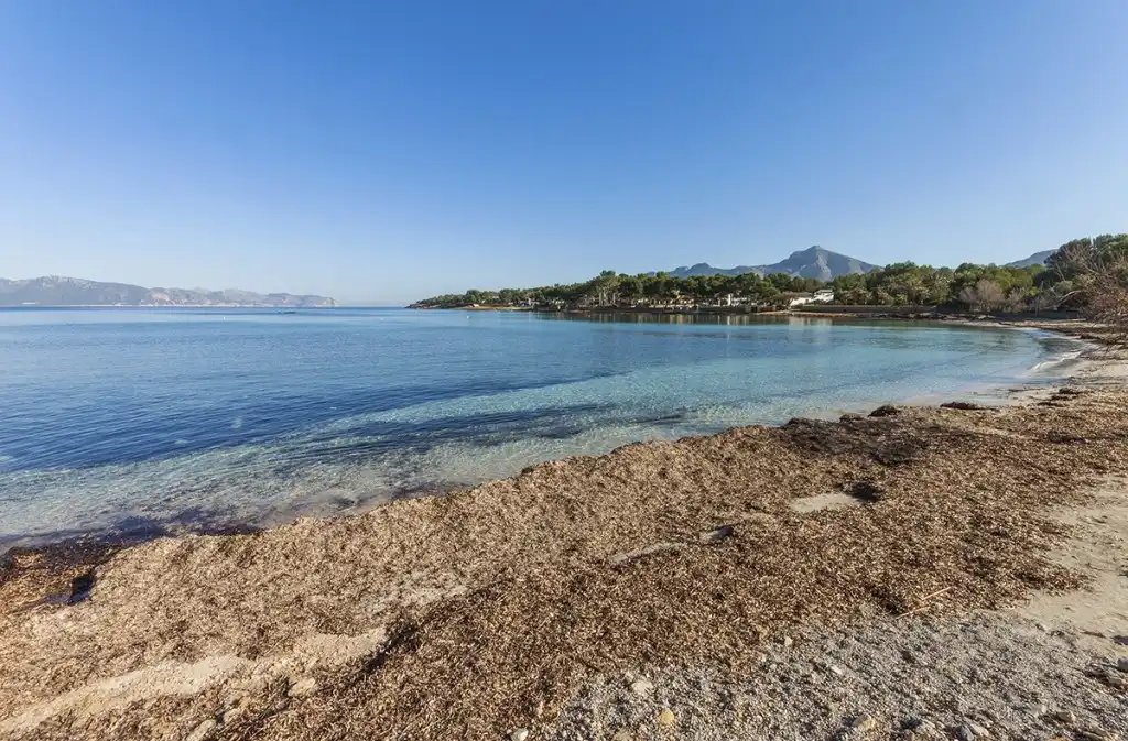 Casa o chalet en venta en Alcúdia con Aire acondicionado, Calefacción y Jardín privado
