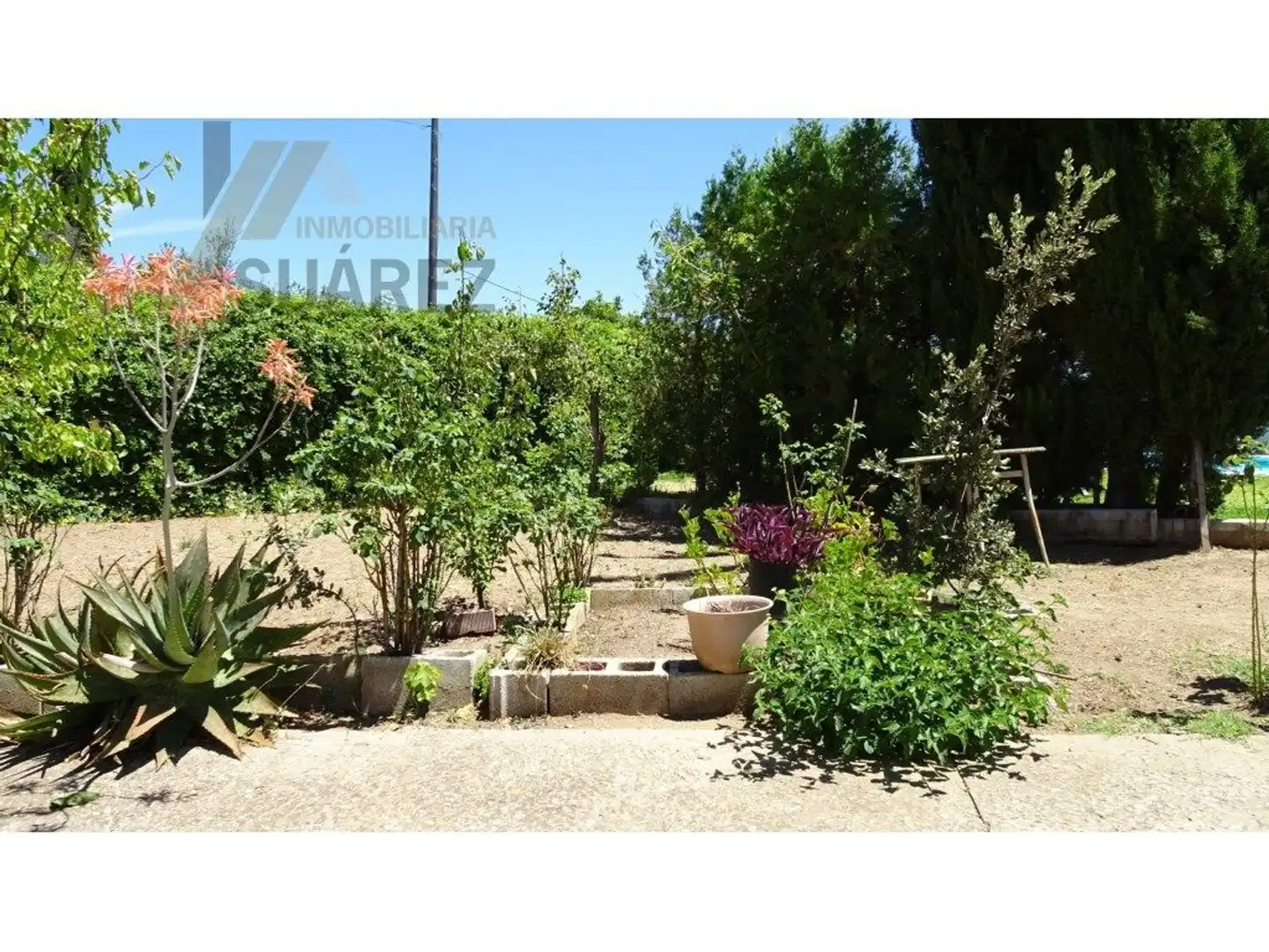 Jardí de Casa o xalet en venda en Castilblanco de los Arroyos
