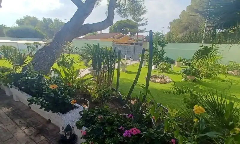 Casa amb terrassa en venda a Orihuela Costa, imagen 34